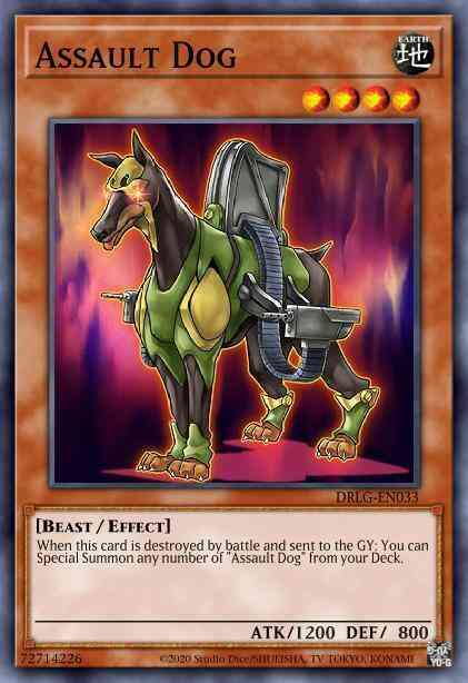 Assault Dog - DRLG-EN033 - Super Rare - 1st Edition