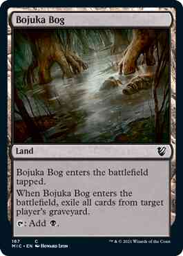 Bojuka Bog [167] [Innistrad: Midnight Hunt: Commander] [Non-Foil]