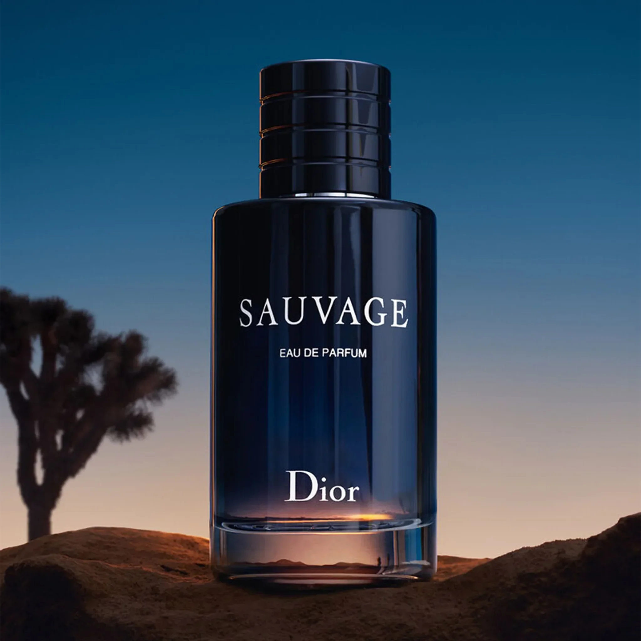 Dior Sauvage Eau De Parfum - Image 3