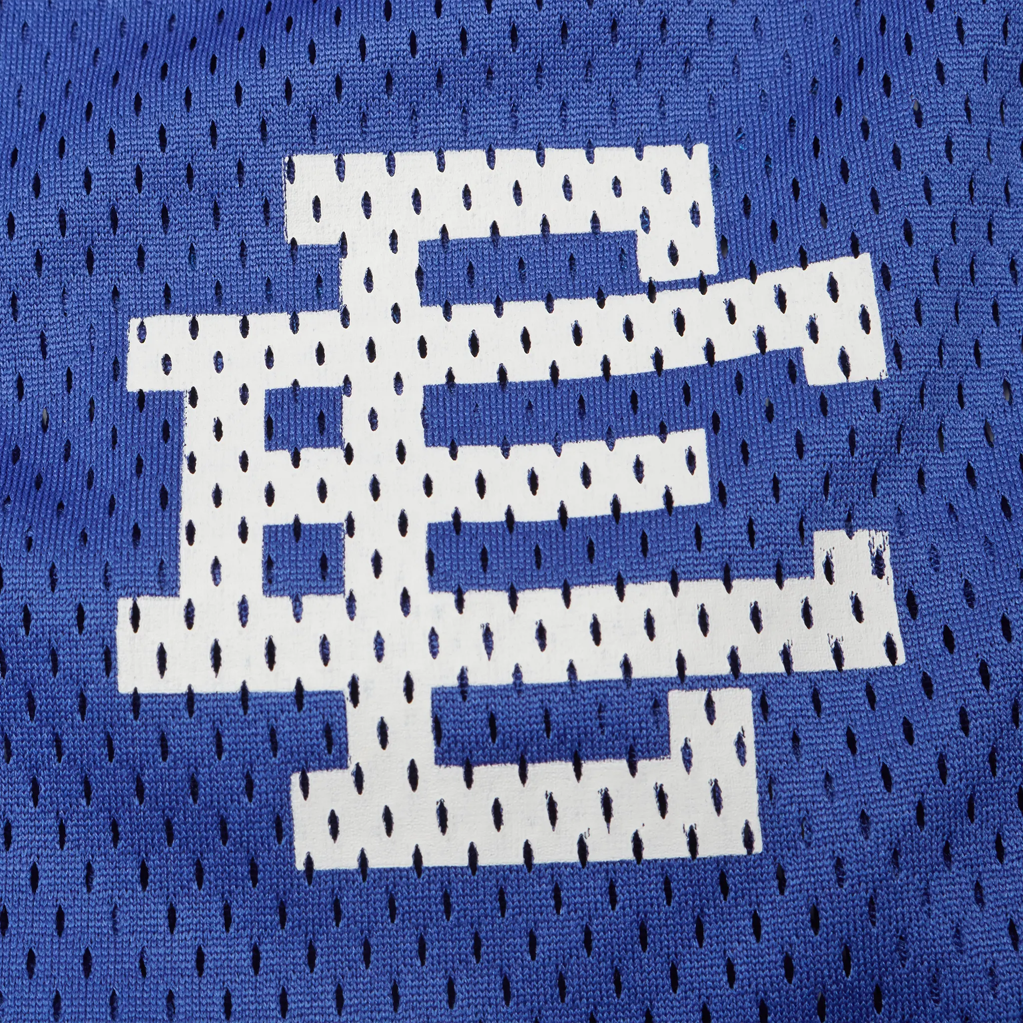 Eric Emanuel EE Basic Royal Blue White Shorts (SS25) - Image 3