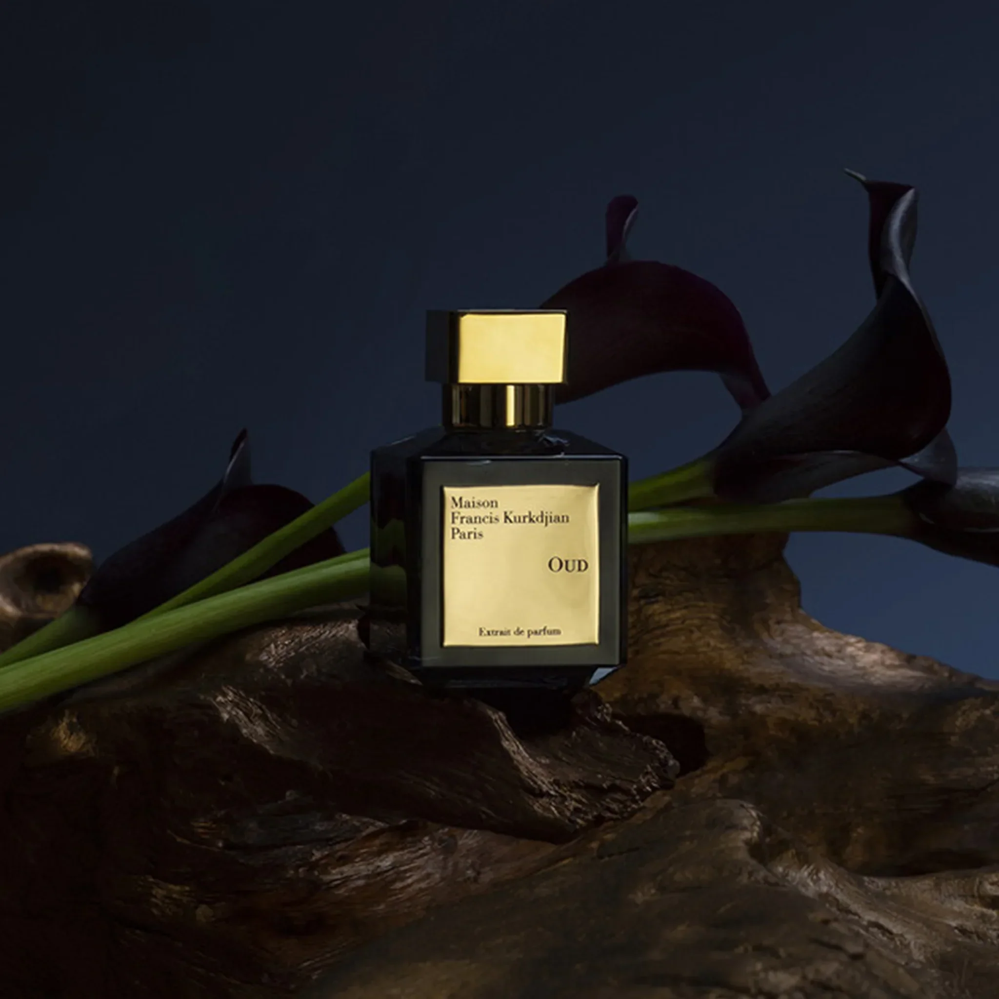 Maison Francis Kurkdjian Oud Extrait De Parfum 70ml - Image 4