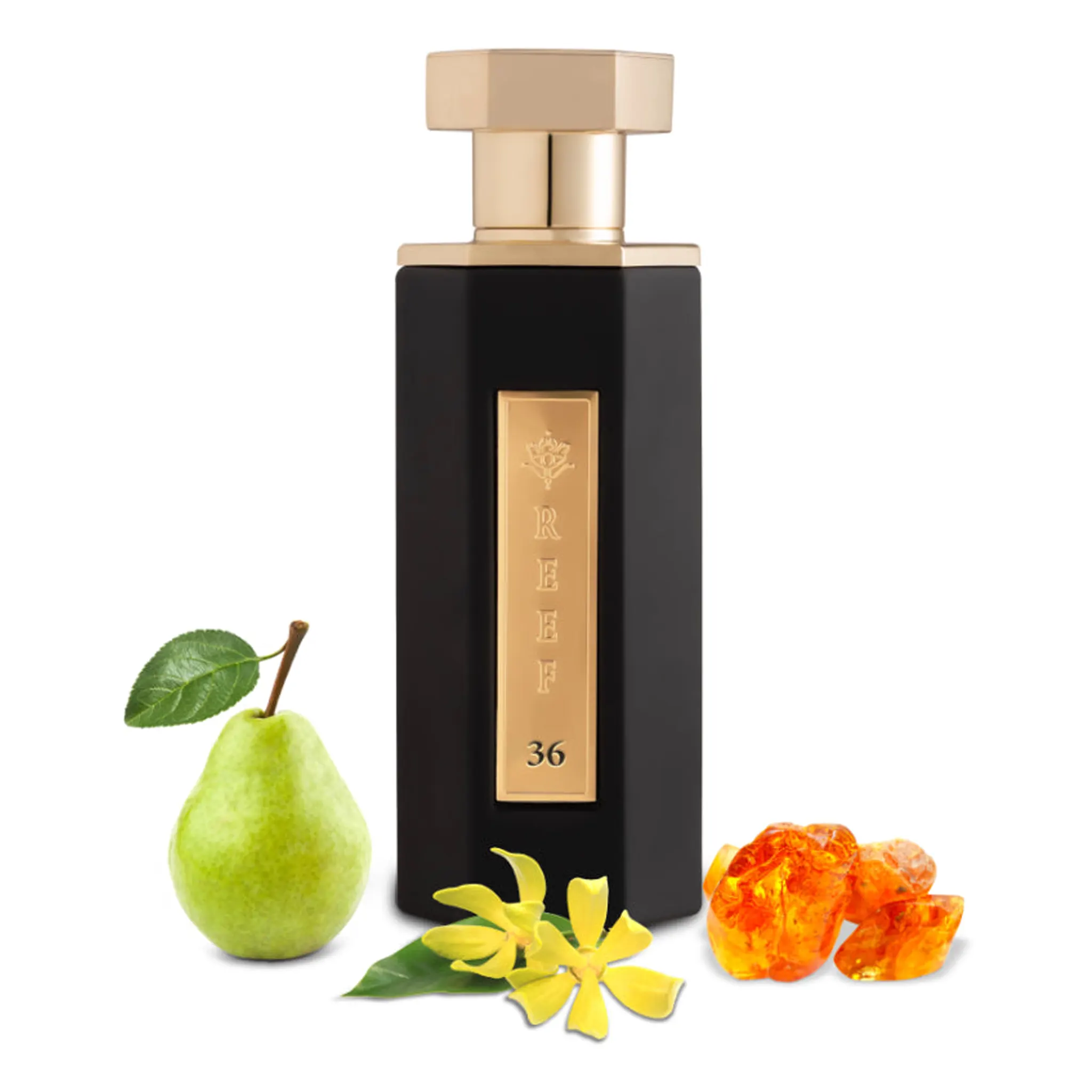 REEF 36 Eau De Parfum SAMPLE - Image 2
